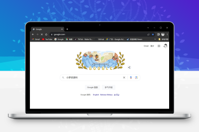 谷歌浏览器 Chrome v127.0.6533.73 增强免装版-大大博客