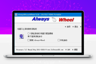 AlwaysMouseWheel(鼠标滚轮增强软件) v6.32.1 中文绿色版-大大博客