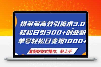 拼多多店铺引流技术3.0，日引300+付费创业粉-大大博客