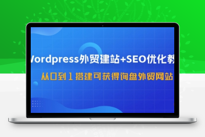 WordPress-外贸建站+SEO优化教程：从0到1搭建可获得询盘外贸网站-大大博客