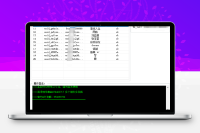 巅峰wxid批量转微信号v1.0-大大博客